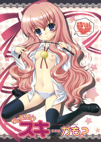 (C74) [しましましすてむ (なぎさわゆう)] ちょっとだけスキ…かも? (ゼロの使い魔)