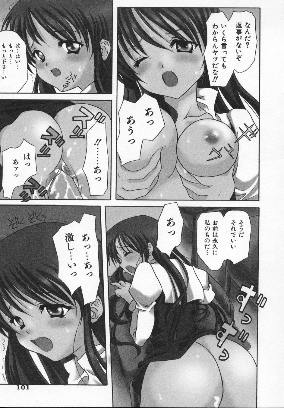 [叶穂郎] Rose Bud