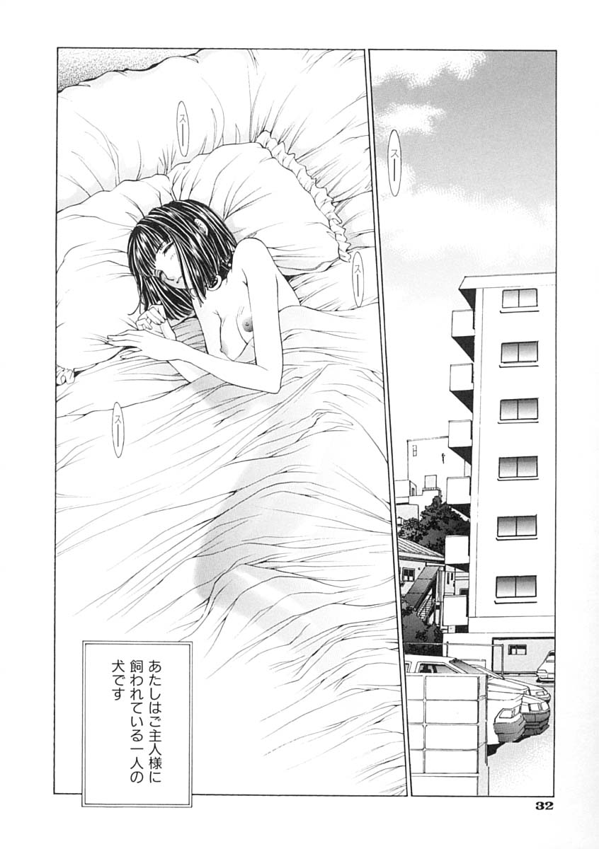 [はらざきたくま] 馴花