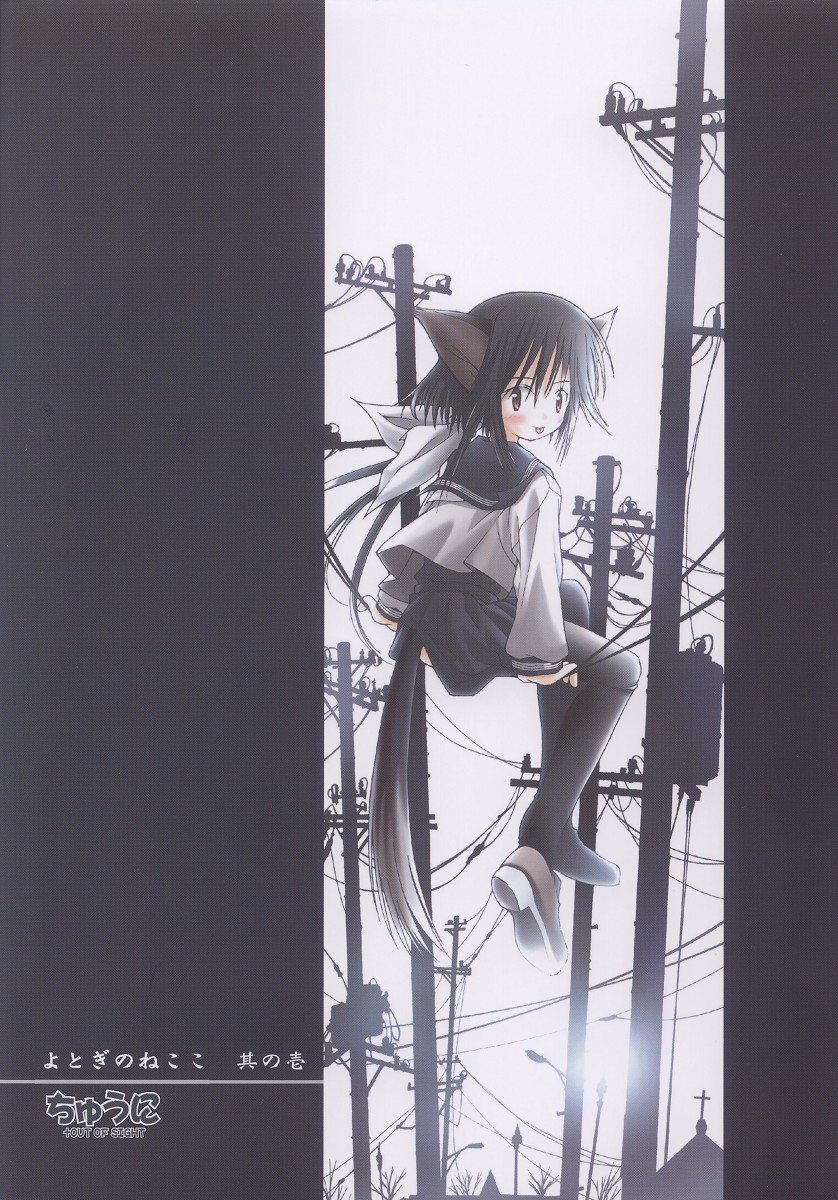 (C63) [ちゅうに+OUT OF SIGHT (KIMちー)] 夜伽の猫仔 其の壱