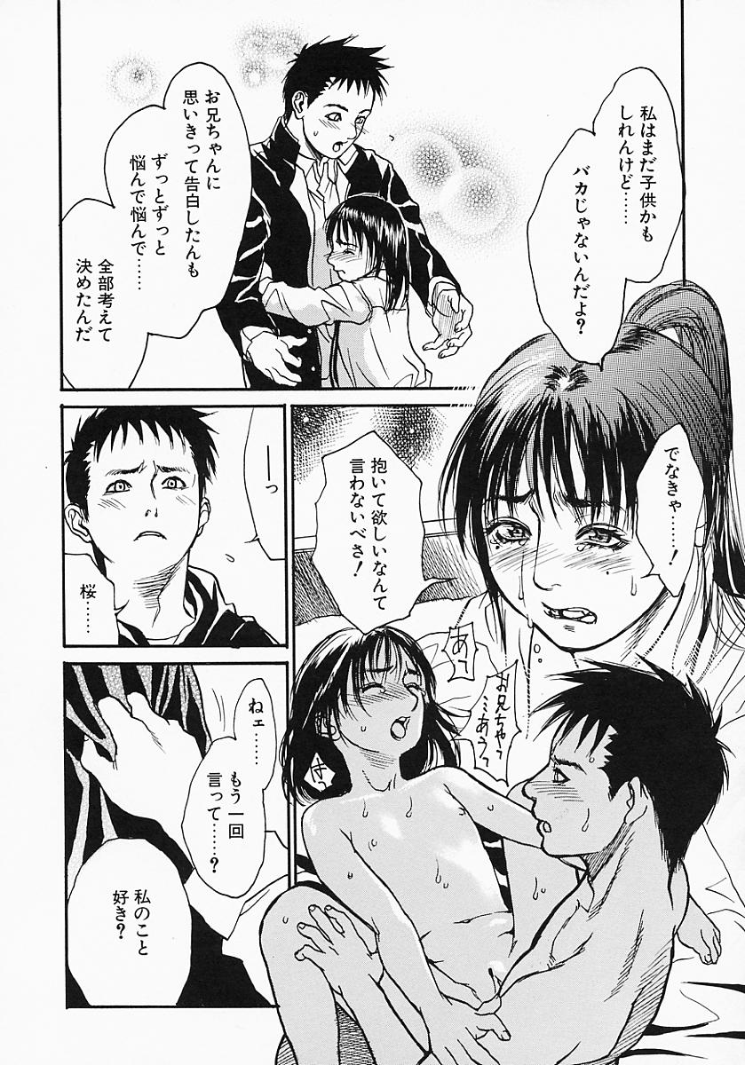 [木静謙二] かてきょ