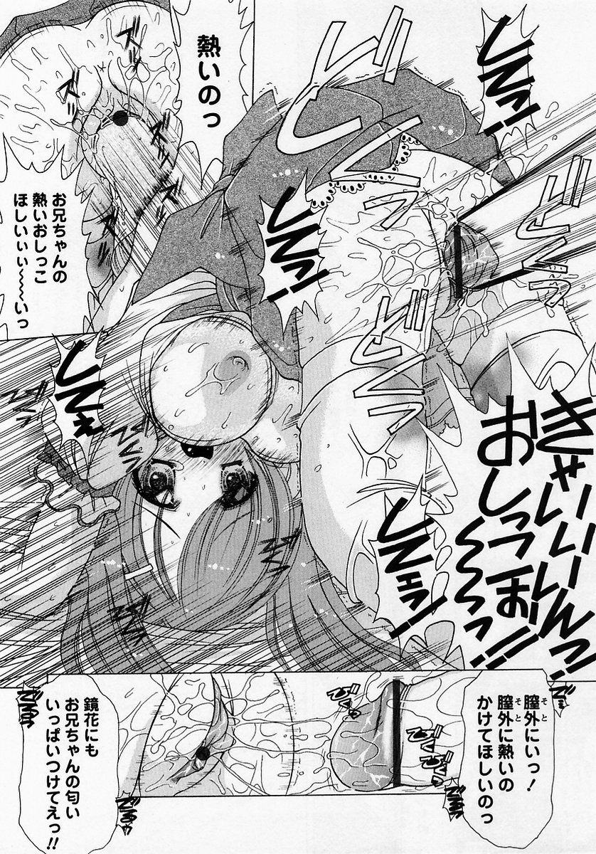 コミック・マショウ 2005年7月号