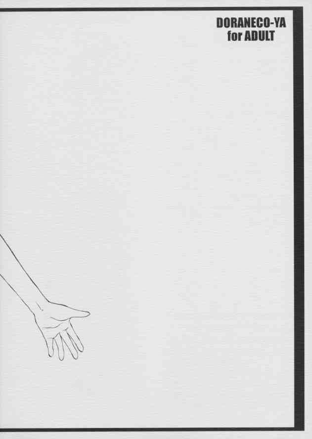 【ドラネコや】ちゃんのデジダッタへ