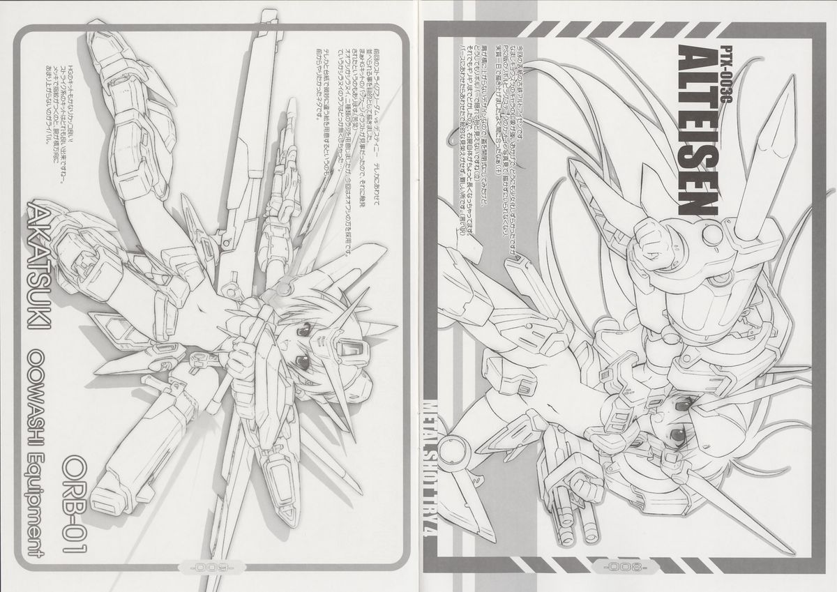 【パッシングリム】METALSHOT TRY 4