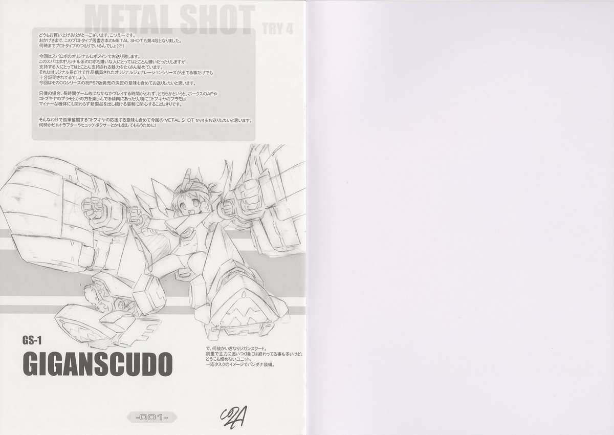 【パッシングリム】METALSHOT TRY 4