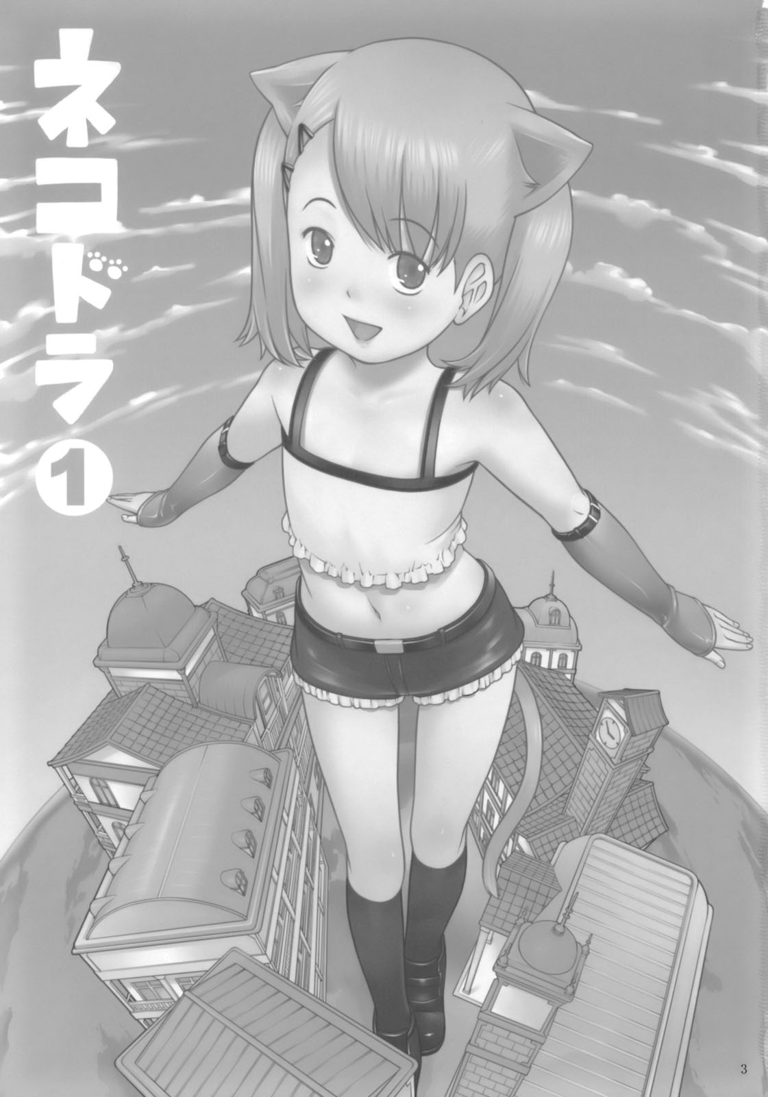(C75) [アカタマ (桜吹雪ねる)] ネコドラ1巻