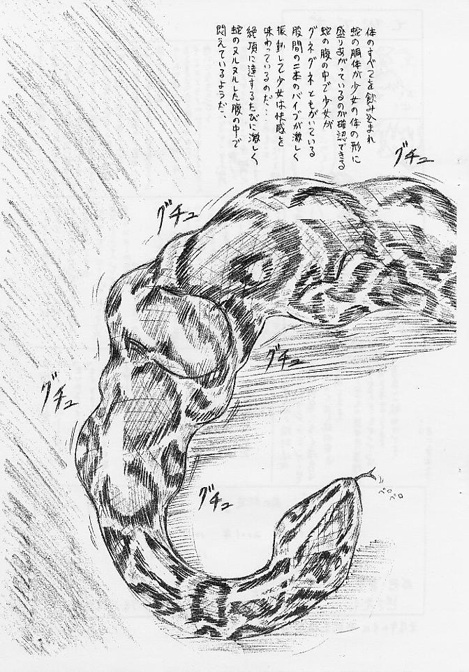 [すもも堂 (すももEX)] びびあん別冊.02びびあん別冊.02 でぃずぃ－肉の蛇袋－