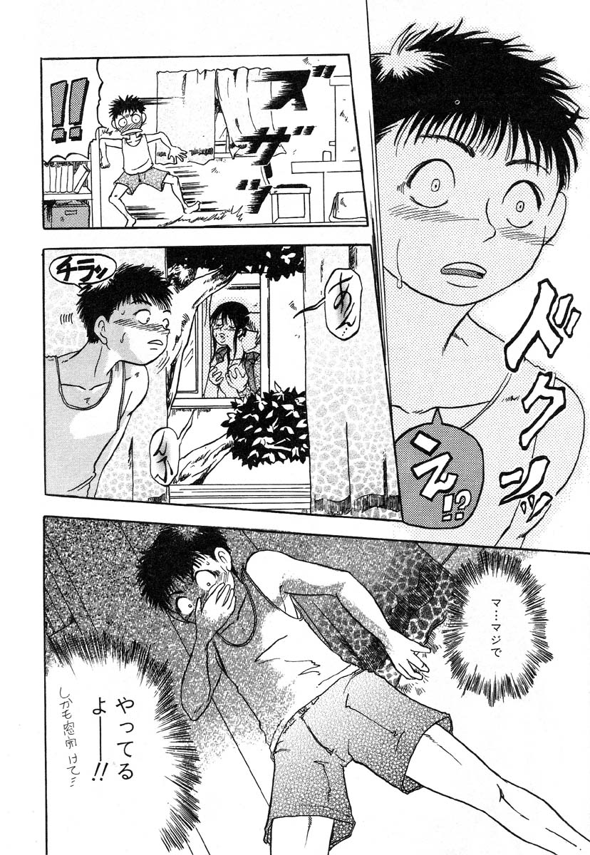 フラミンゴR Vol.01