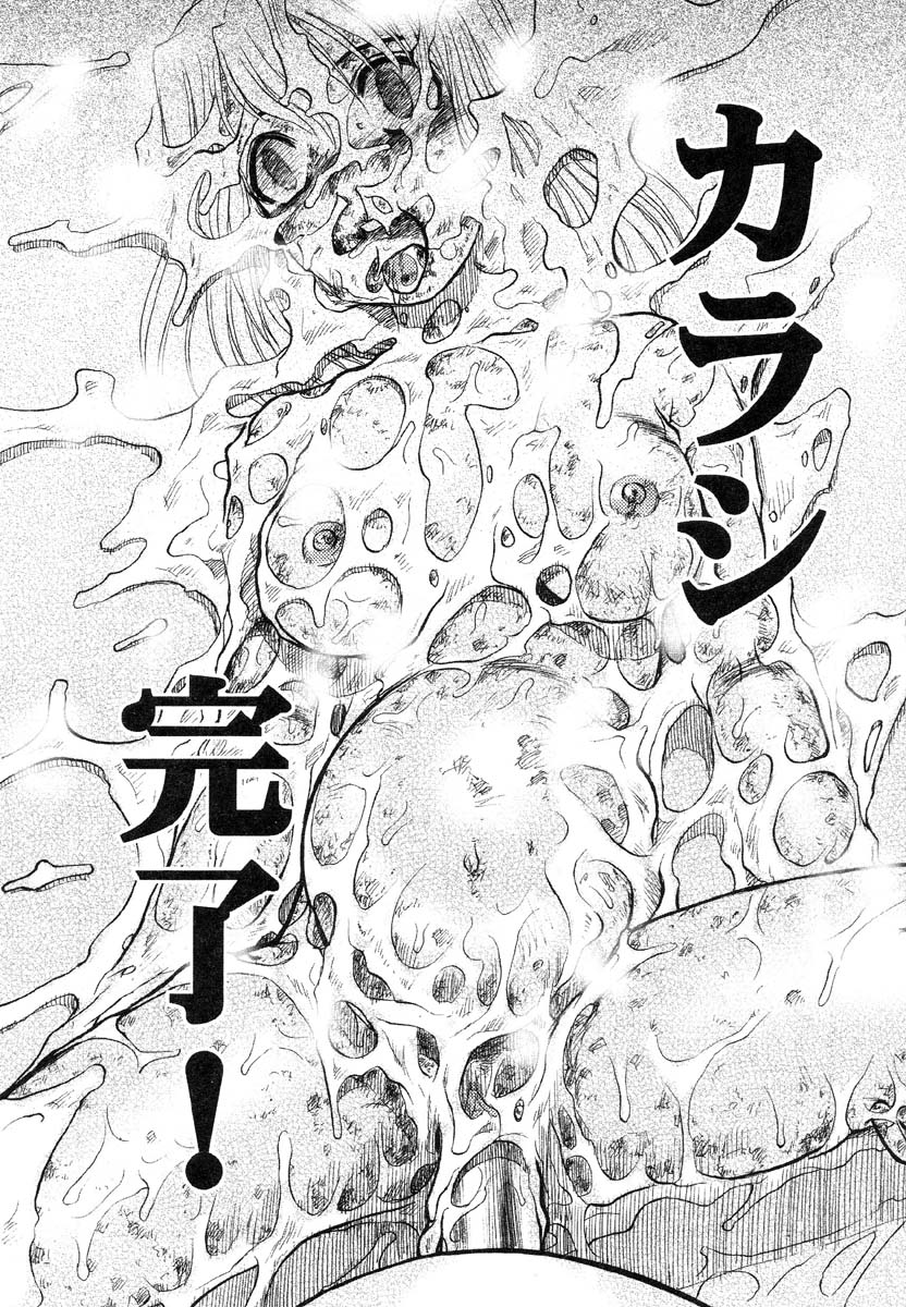 フラミンゴR Vol.01