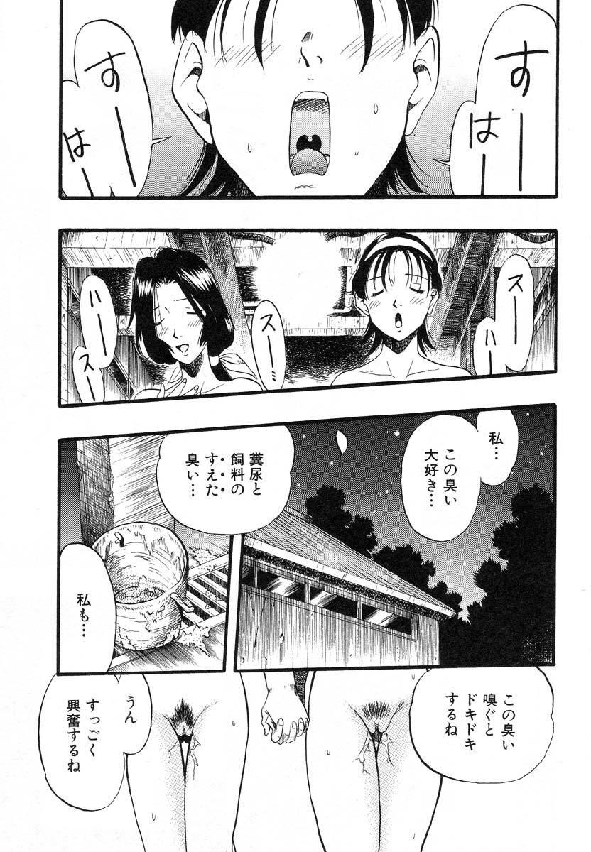 フラミンゴR Vol.01