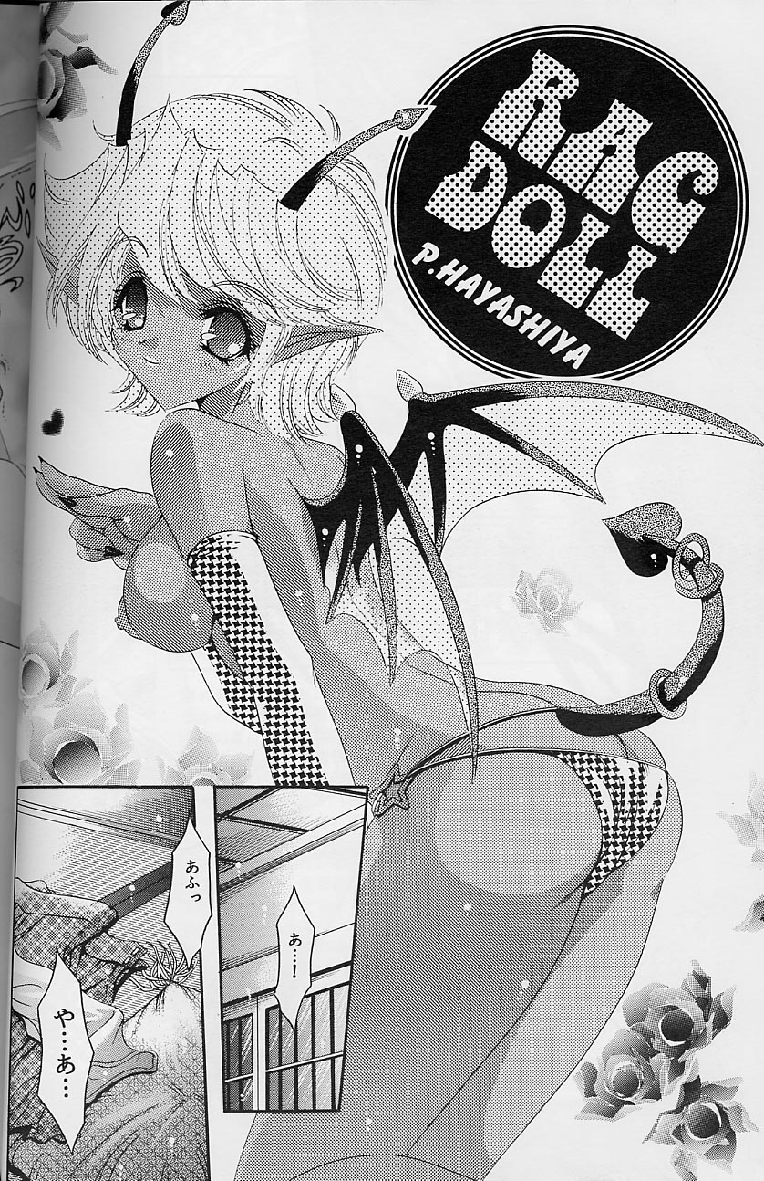 【スライム亭林家ぺー】ラグドール8