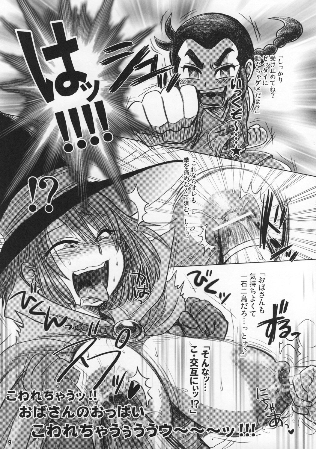 (C73) [エセクール (BOSS珍)] みどりのおばさん (ドラゴンクエストIII)