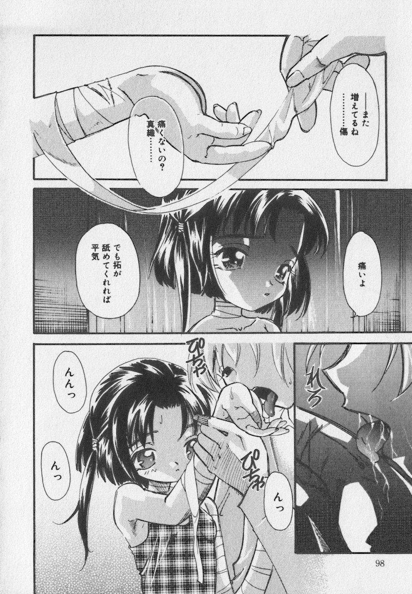 [アンソロジー] リトルピアス Vol.35