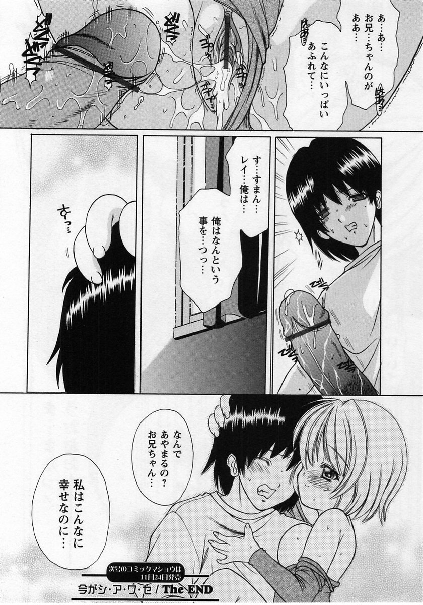 コミック・マショウ 2004年12月号