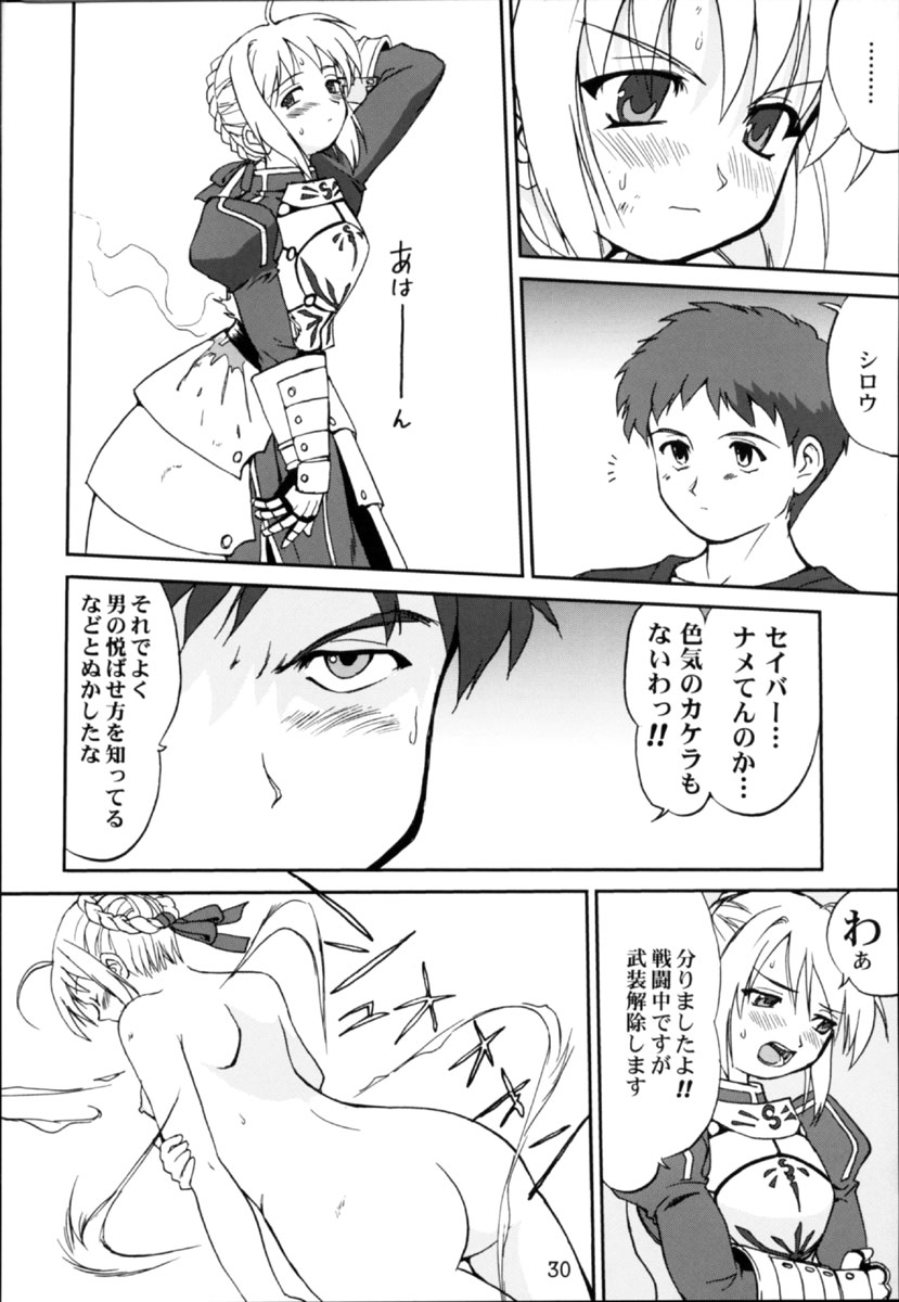 (C66) [蛸壷屋 (TK)] キング・アーサー (Fate/stay night)