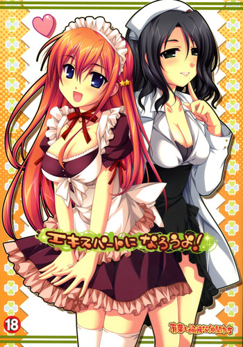 (C71) [有葉と愉快な仲間たち (有葉)] エキスパートになろうよ！