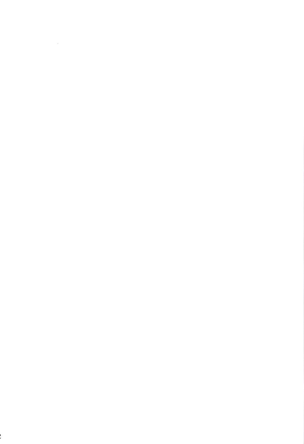 (サンクリ37) [PLUM (かん奈)] マジカルSEED FREEDOM (魔法少女リリカルなのは)