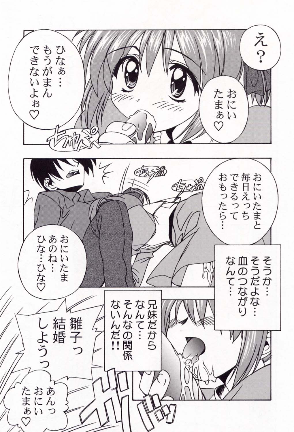 (C58) [ふらいぱん大魔王 (提灯暗光)] 電撃L'sマガジン Dengeki Lolita's Magazine (ミルキィ・シーズン, シスタープリンセス)