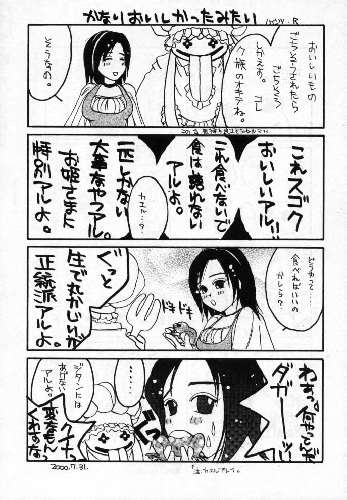 (C58) [Tamakiya (環望、ハインツ・R、猫戦車マリィ)] IX NINE (ファイナルファンタジー IX)