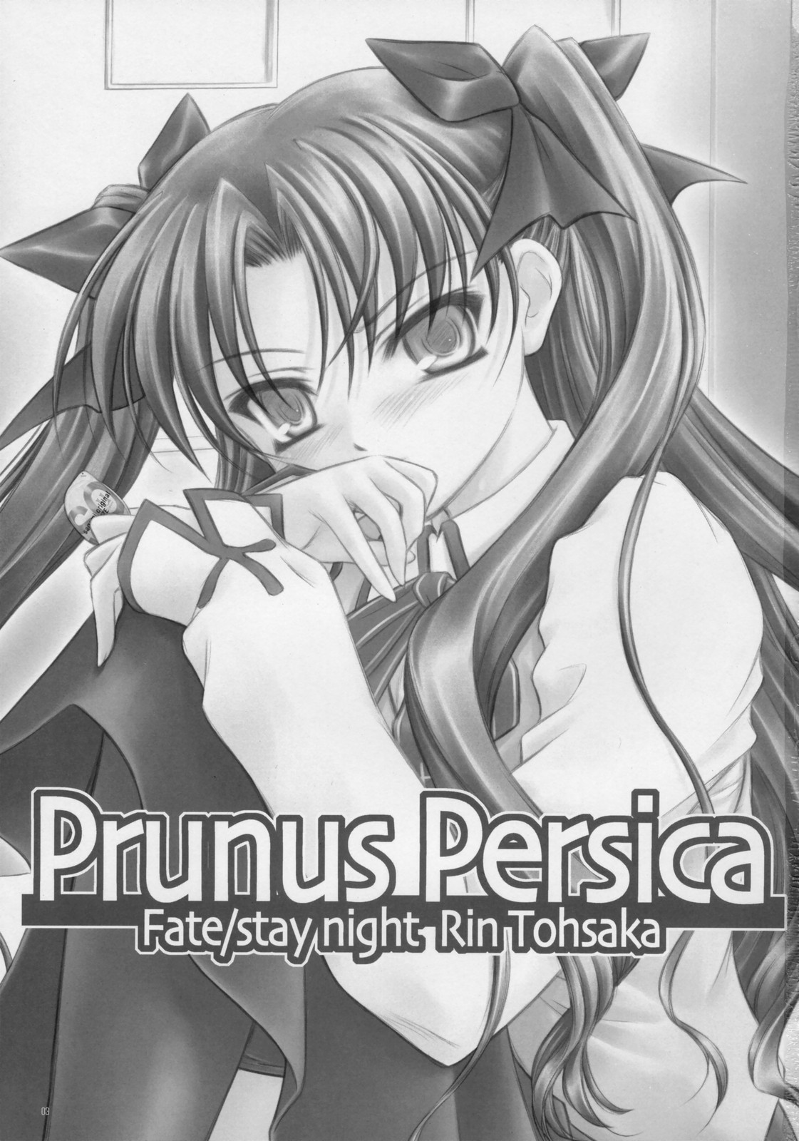(C73) [薬缶本舗＆夜間飛行 (いのうえとみい)] Prunus Persica (Fate/stay night)