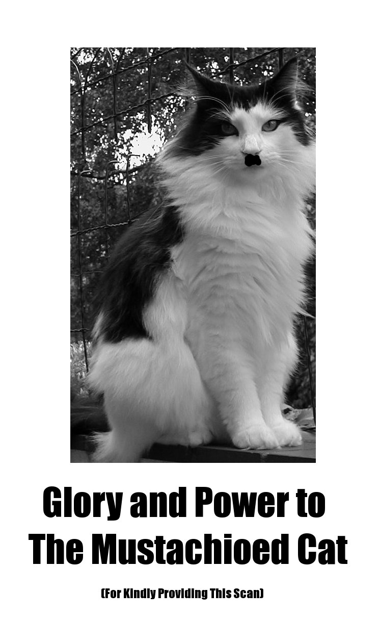 (C73)[琥珀亭 (堺はまち)] EDEN -Rei8- (新世紀エヴァンゲリオン)