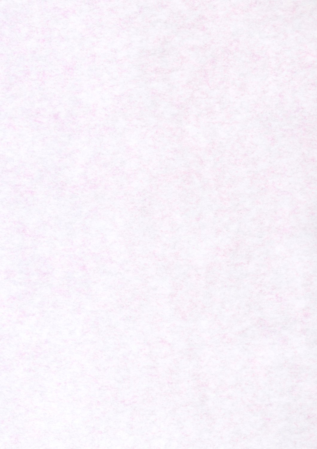 (C65) [MANITOU (中島零)] Maggy Bouillon (Read or Die)