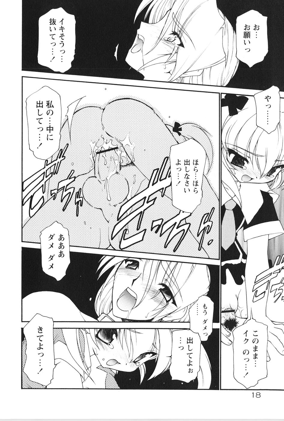 [龍炎狼牙] 紅い首輪と代価のカタチ