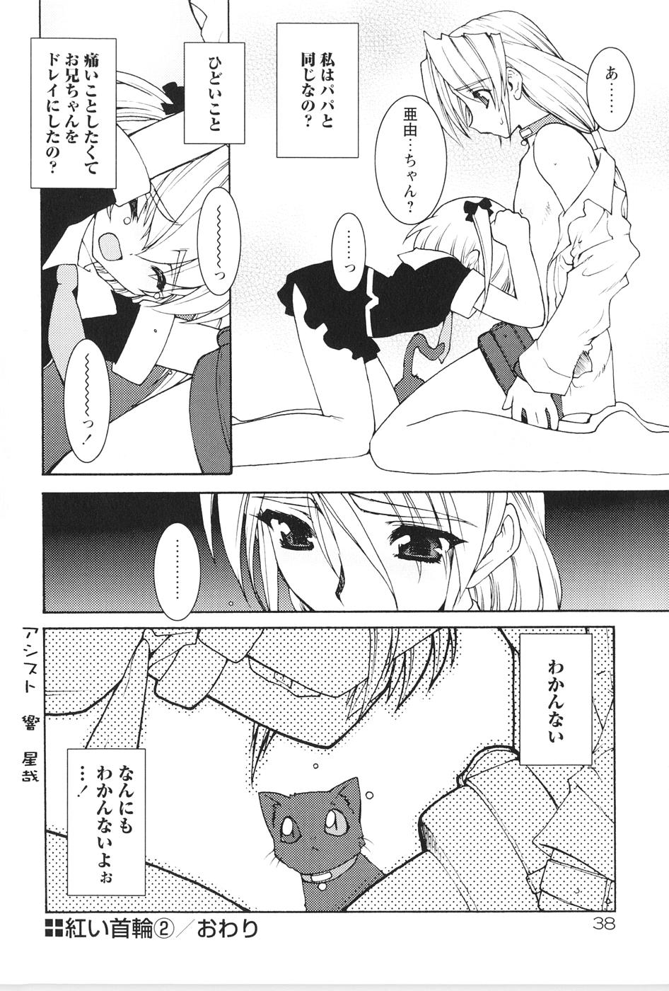 [龍炎狼牙] 紅い首輪と代価のカタチ