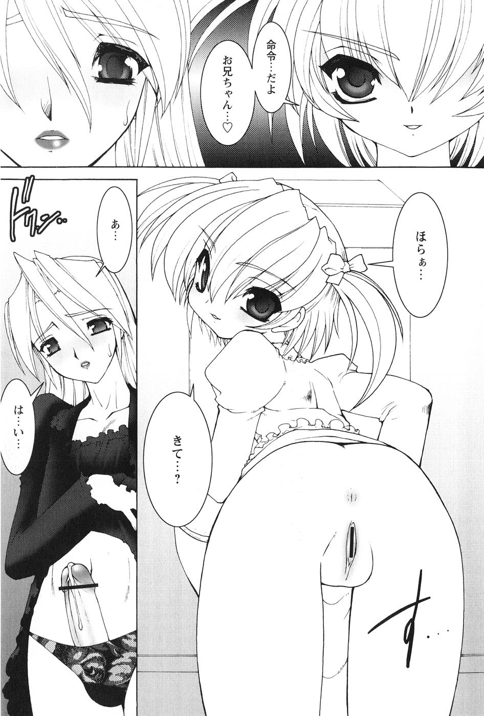 [龍炎狼牙] 紅い首輪と代価のカタチ