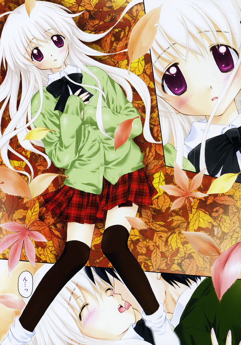 Comic RIN Vol. 13 2006年 1月