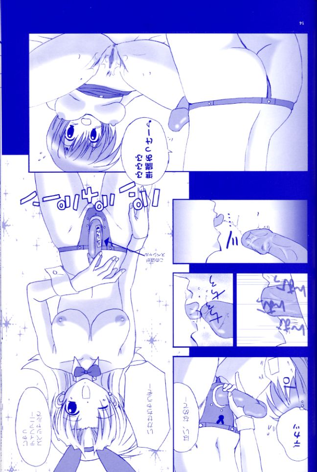 [STUDIO PAL (八月薫、南野琴)] Rio Premium (スーパーブラックジャック)