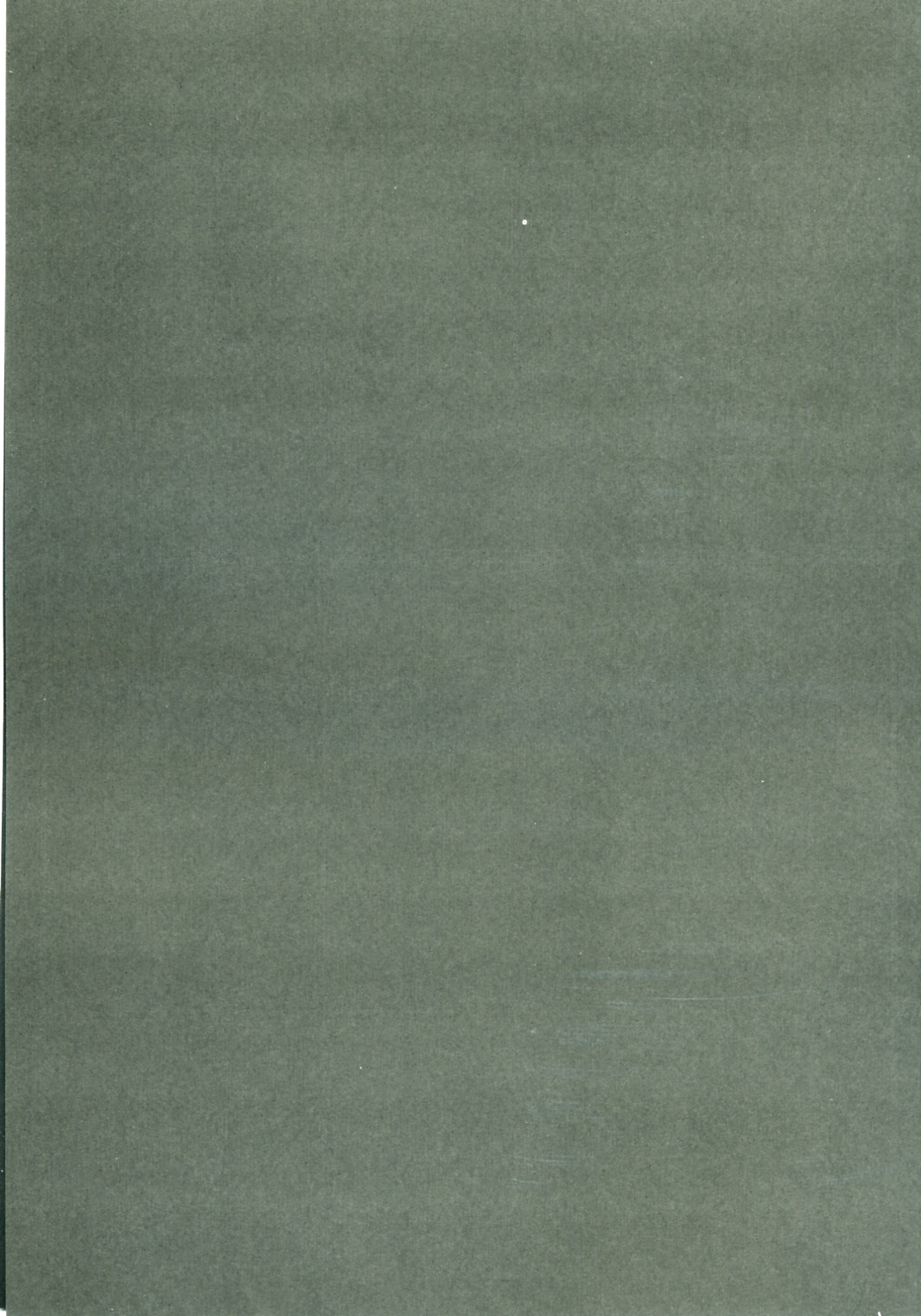 (C72) [bolze. (rit.)] 皇女の受難 (コードギアス 反逆のルルーシュ)