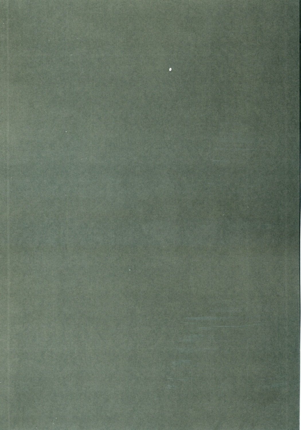 (C72) [bolze. (rit.)] 皇女の受難 (コードギアス 反逆のルルーシュ)