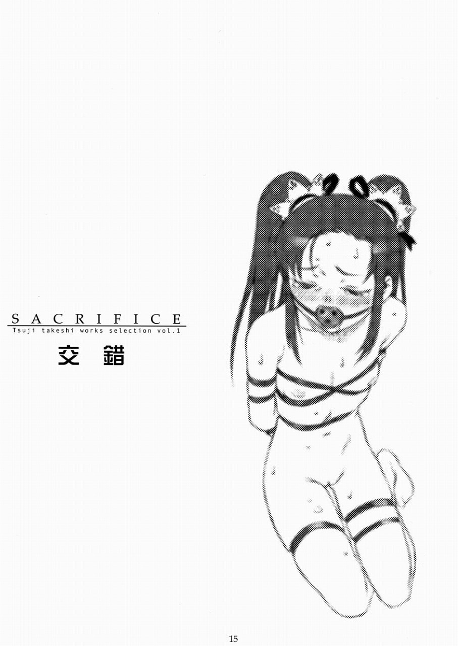 (C65) [パンツ騎士団 (辻武司)] SACRIFICE Tsuji takeshi works selection vol.1