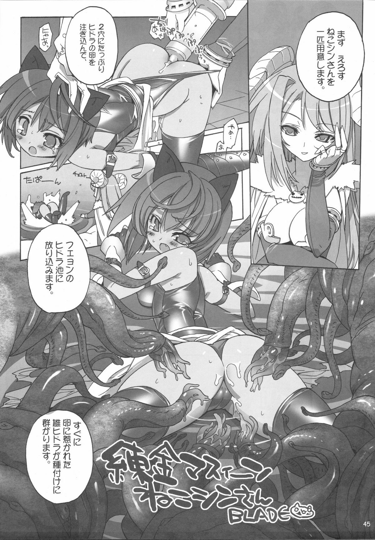 (C72) [げんきのみずのわくところ (よろず)] RΩ HARD CORE (ラグナロクオンライン)