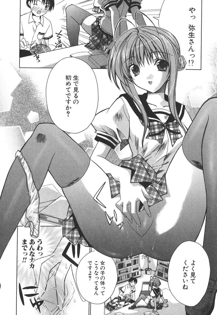 [獅童ありす] エピキュリアンシンドローム