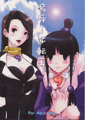 (C62) [墨東綺譚 (玉の井いろは)] 嗚呼!逆転王 (逆転裁判)