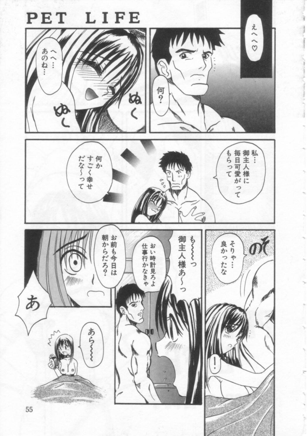 [広川浩一郎] PET LIFE