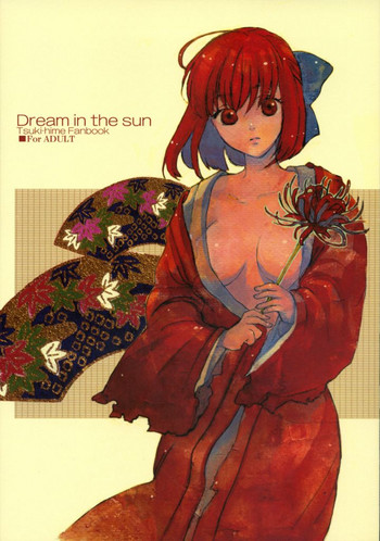 [相原乙女 (山田ニョリコ)] Dream in the sun (月姫) [英訳]