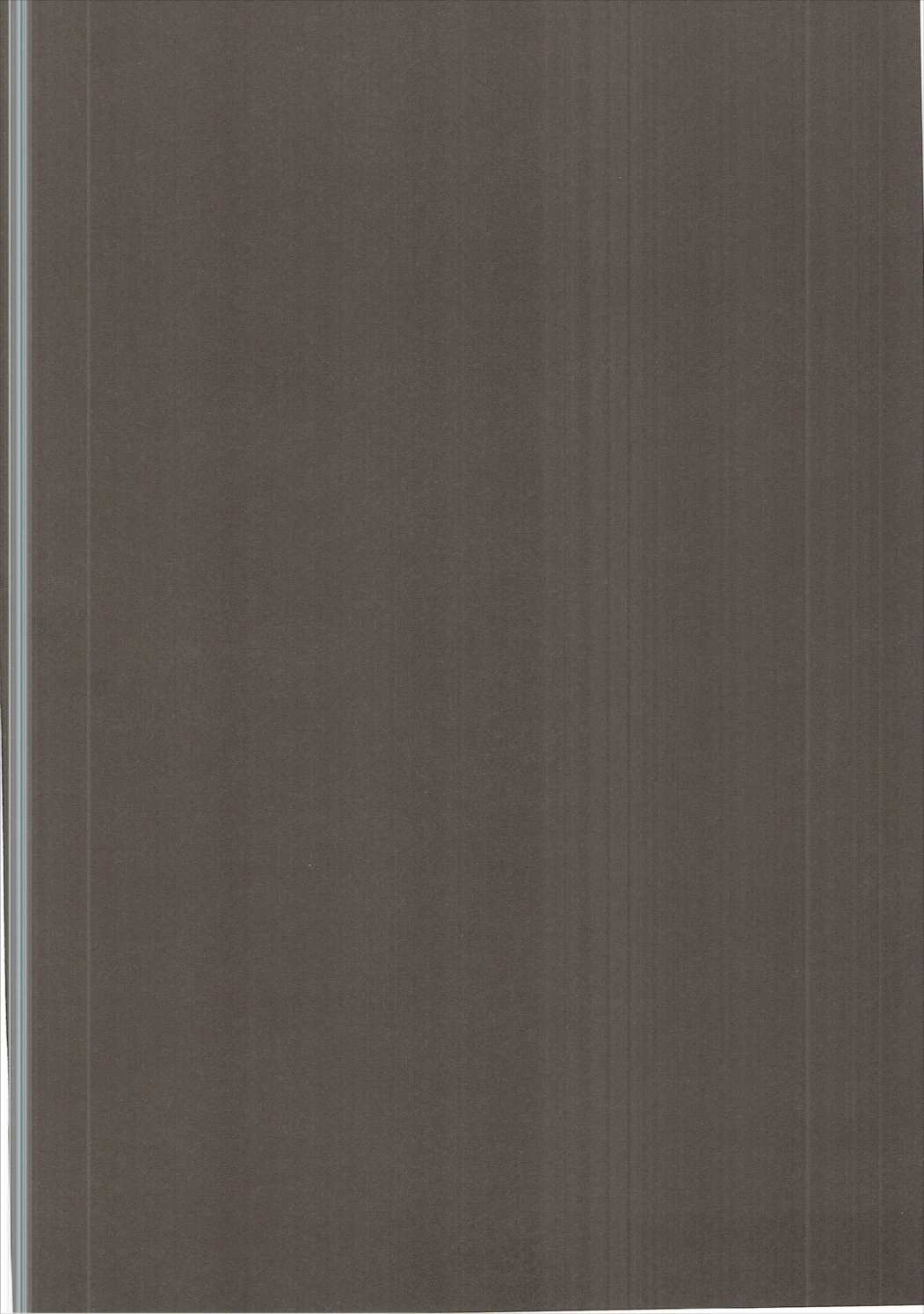 (C90) [e☆ALI-aL! (ありえす渡辺)] あんちらしる (グランブルーファンタジー)