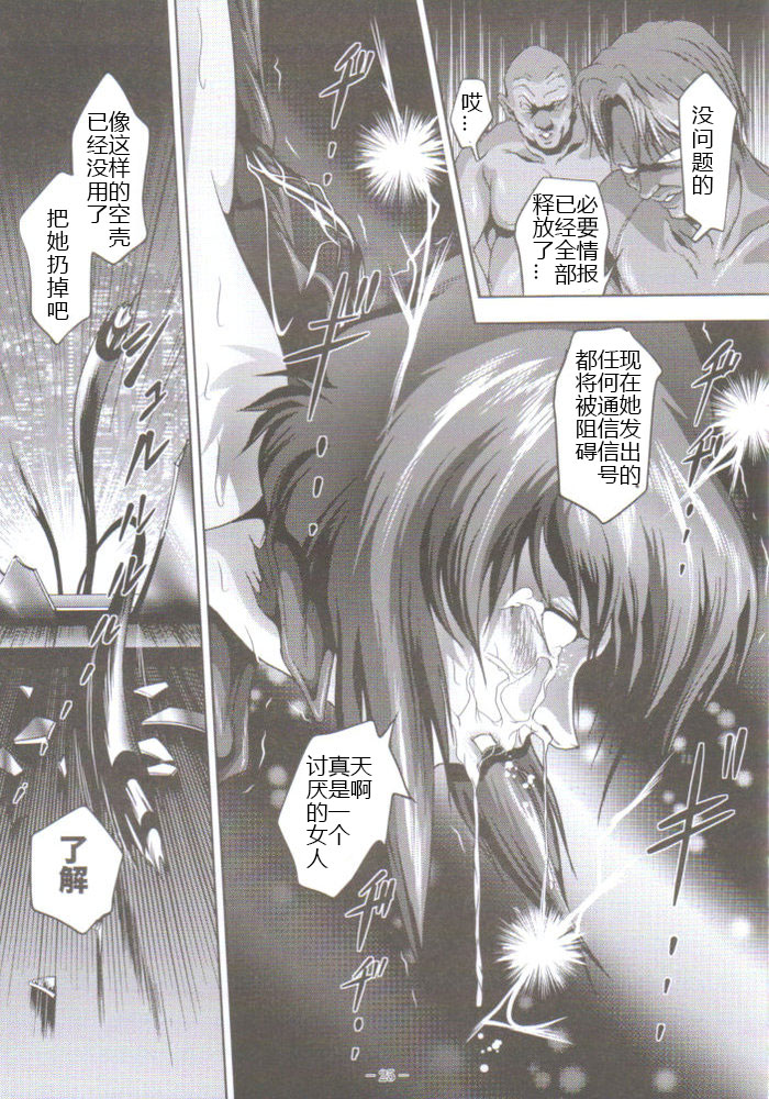 [アキヤマ興業 (三日月四幸)] 電脳処刑 (攻殻機動隊) [中国翻訳]