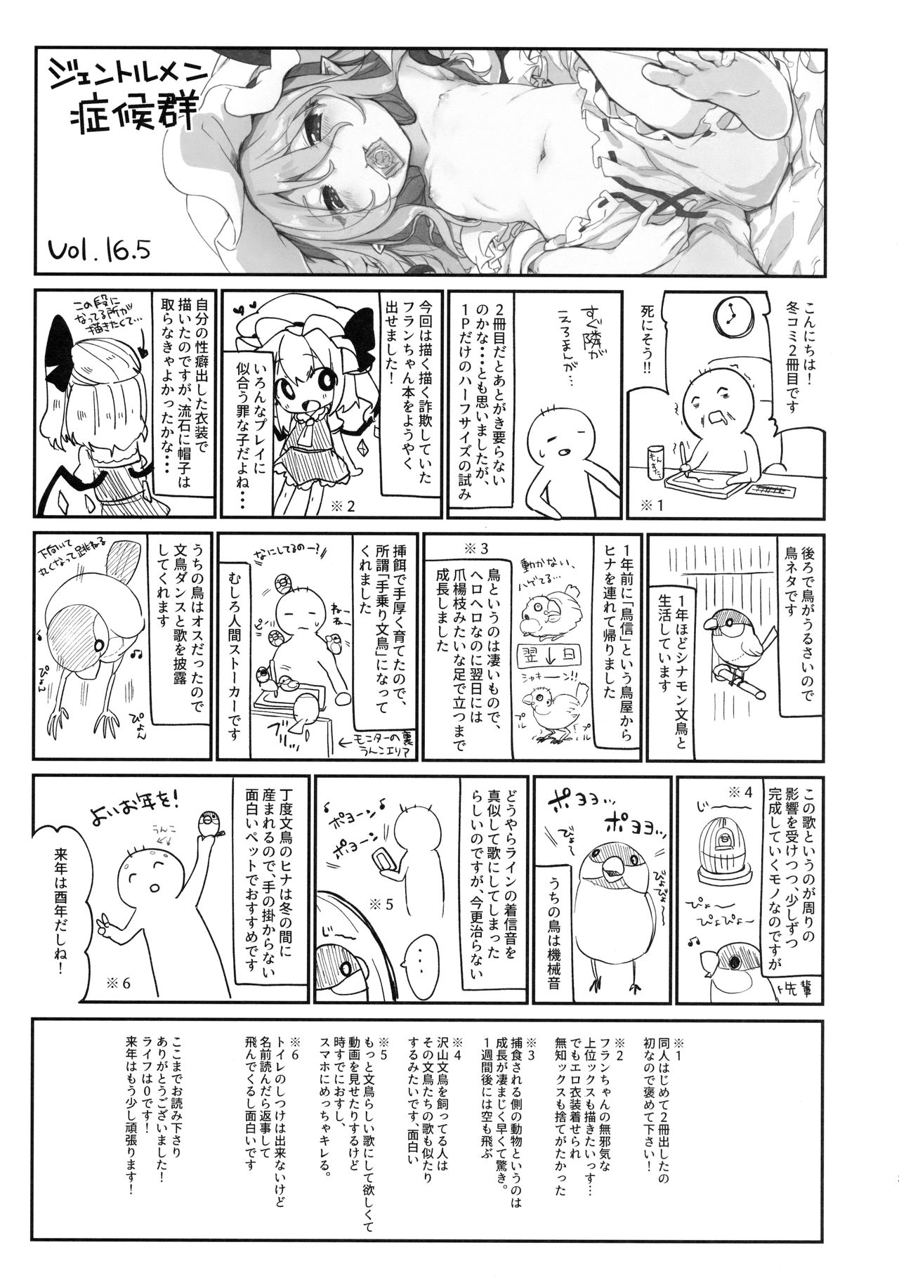 (C91) [毛玉牛乳 (玉之けだま)] フランちゃんに教えてあげる (東方Project)