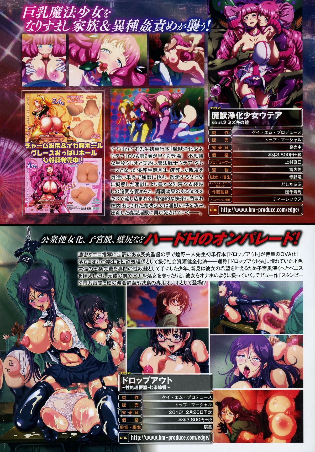 コミックアンリアル 2016年2月号 Vol.59