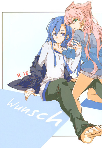 (C85) [HB (フトー)] Wunsch (戦姫絶唱シンフォギア)