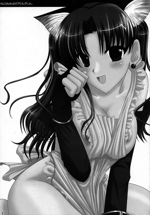 (コミコミ9) [うどんや (鬼月あるちゅ、ZAN)] 猫耳裸えぷりん (Fate/stay night) [中国翻訳]