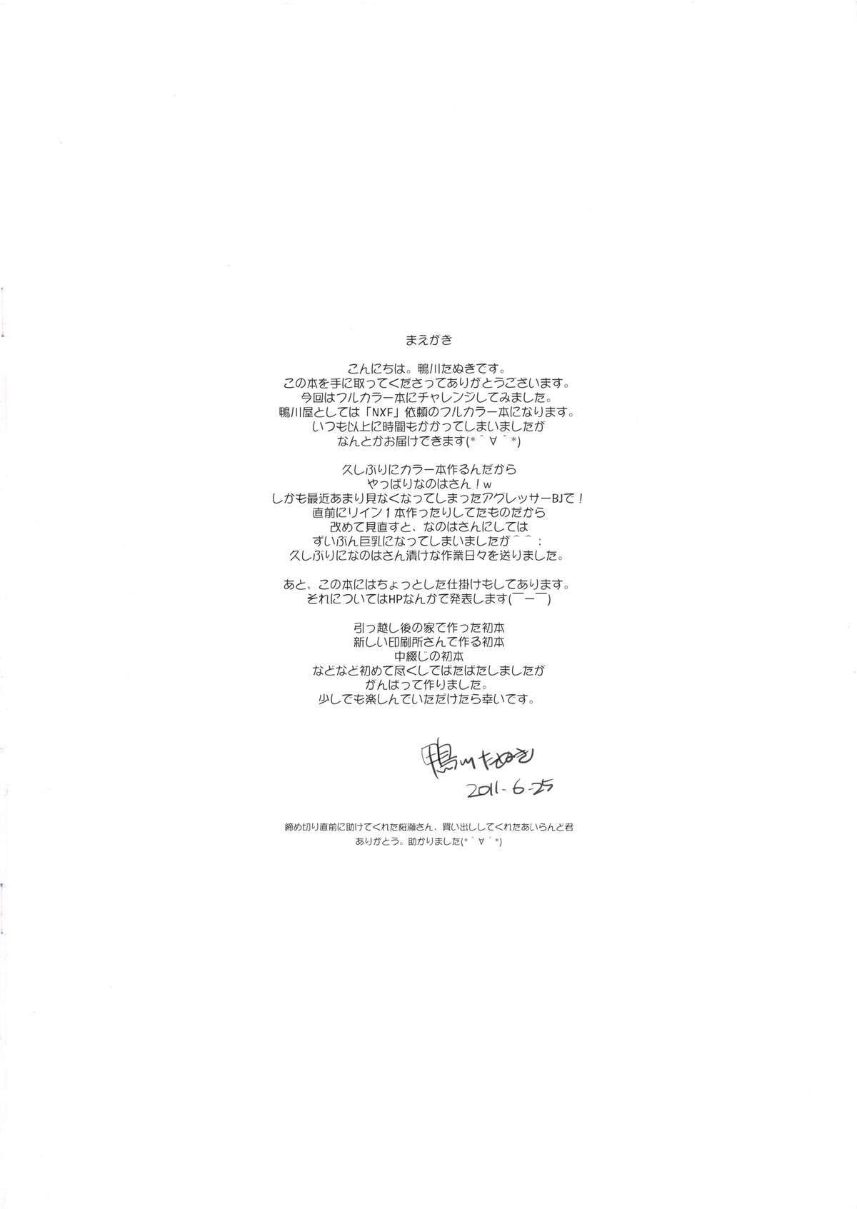 [鴨川屋 (鴨川たぬき)] Nineteens Ex.N (魔法少女リリカルなのはStrikers)