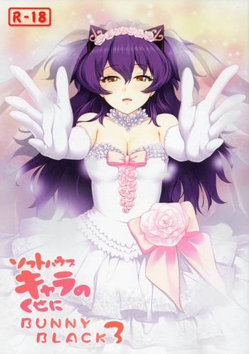 (C86) [珠手箱 (佐々木珠流)] ソフトハウスキャラのくせに BUNNYBLACK3