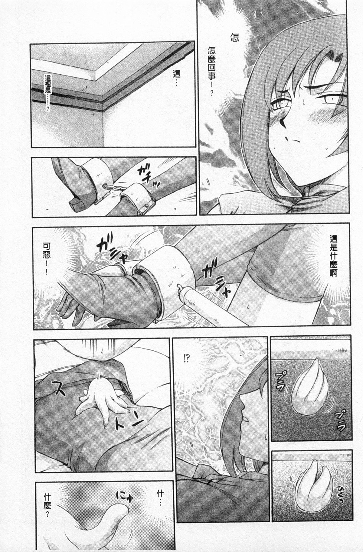 [たいらはじめ] 姫辱淫夢 アルフィナ [中国翻訳]