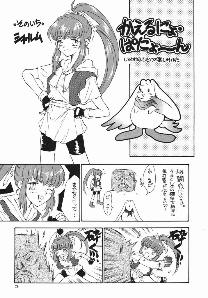 (C57) [y's Company (あらきよう)] Fruit Salad (よろず)