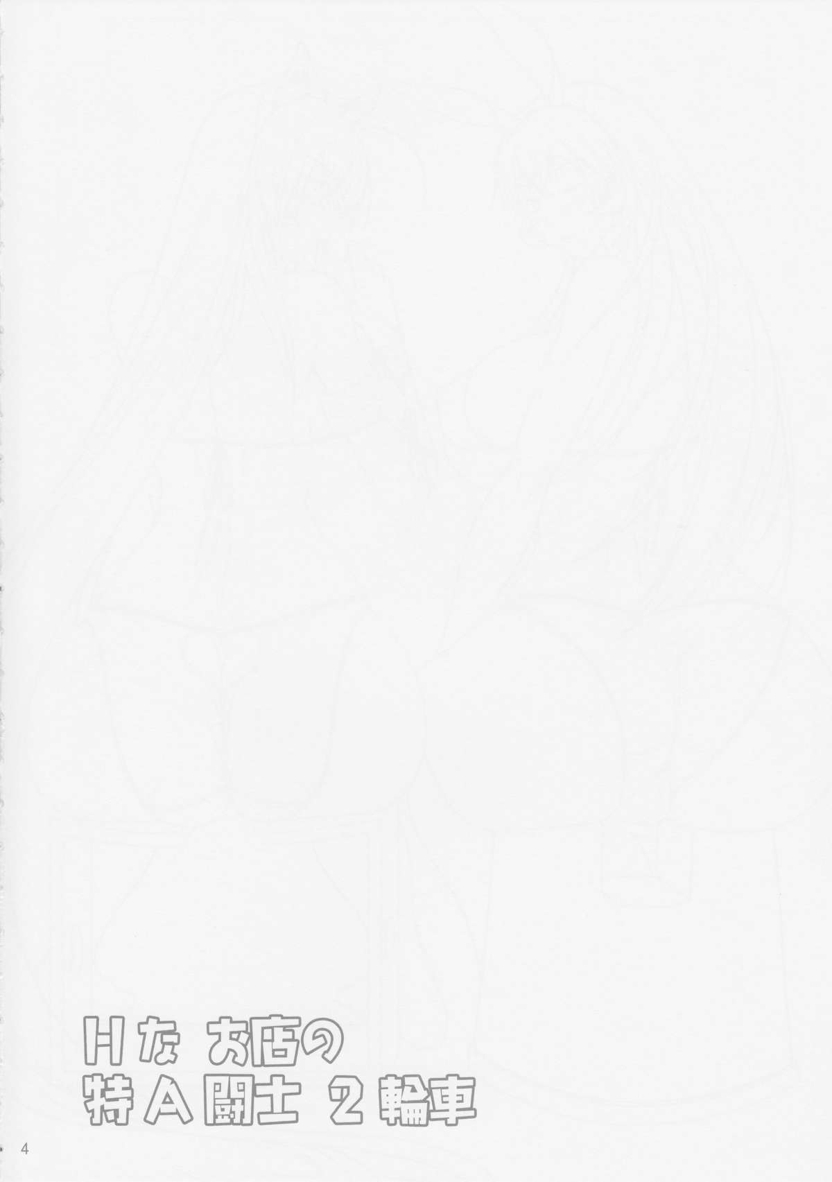 (C84) [姫玖屋 (樹村ナオキ)] Hなお店の特A級闘士 2輪車 (一騎当千)